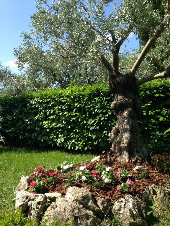 Da Debbie San Giovanni In Marignano Quarto foto